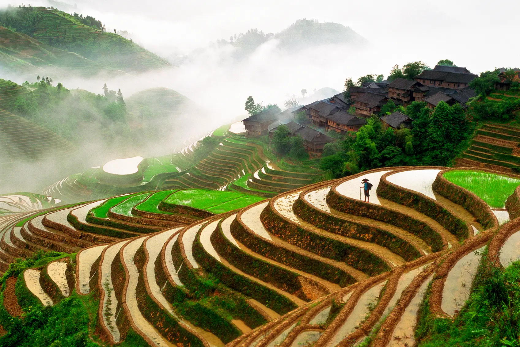 Reisterrassen und Bauerndorf in Longsheng, Provinz Guangxi, China.

