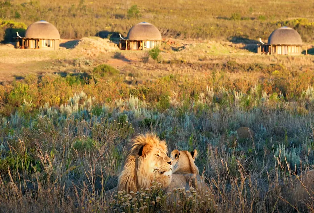 Gondwana Safari reserve