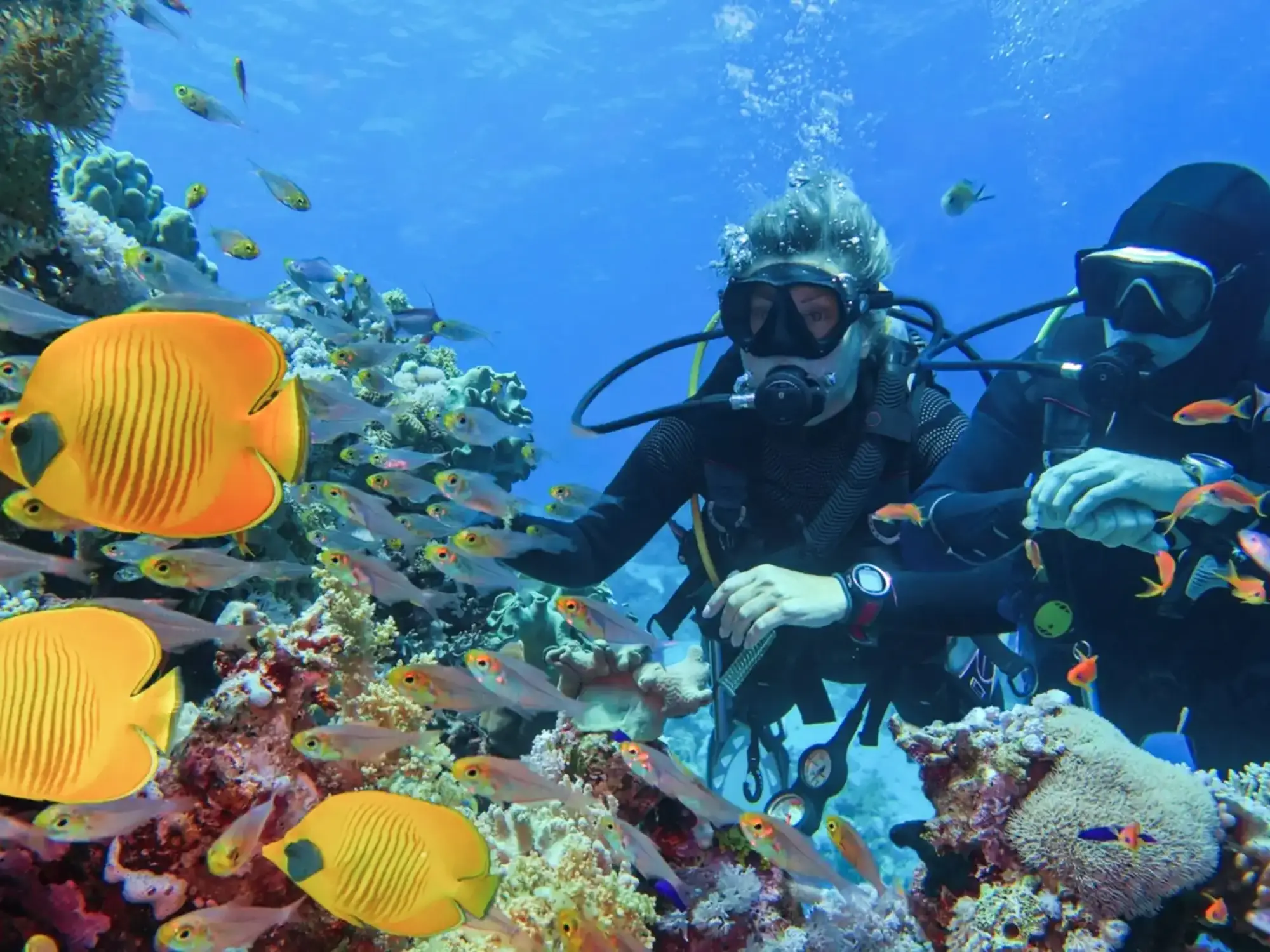 Taucher, Maafushi, Kaafu-Atoll, Malediven. Taucher beobachten Korallen und bunte Fische, Maafushi, Kaafu-Atoll, Malediven.