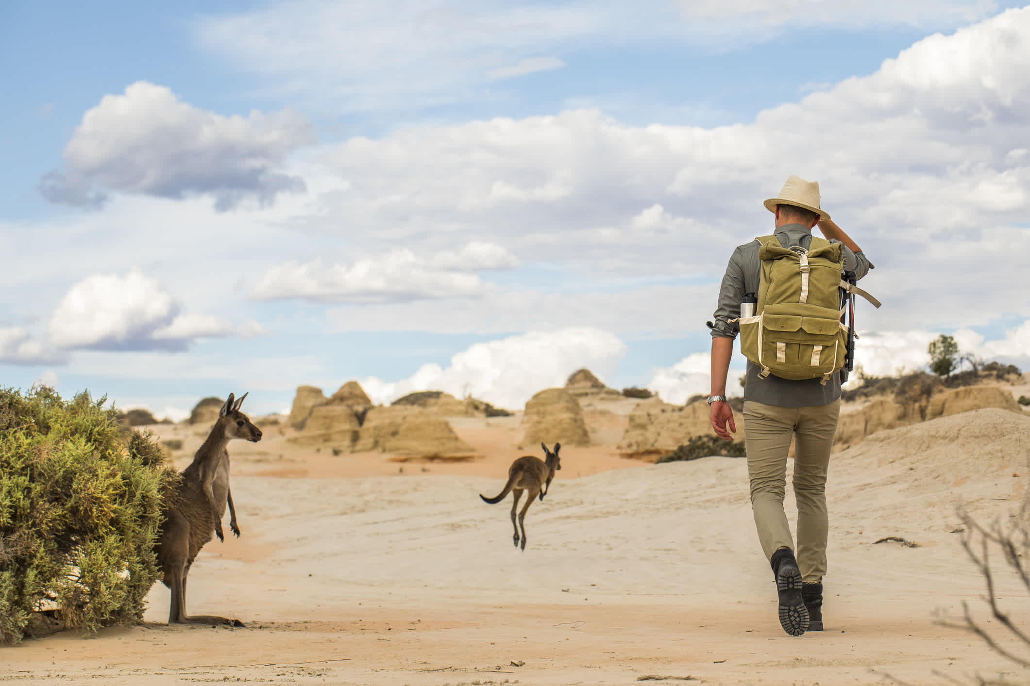 Ein Mann wandert in der trockenen Wüste mit Kängurus auf einem Abenteuer im Outback Australiens.