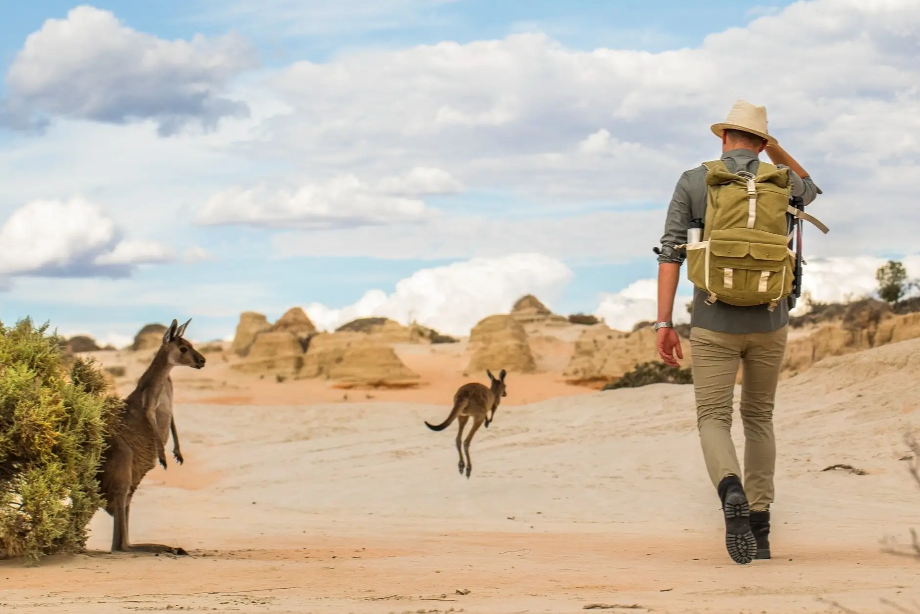 Australiens, Wandern Ein Mann wandert in der trockenen Wüste mit Kängurus auf einem Abenteuer im Outback Australiens.