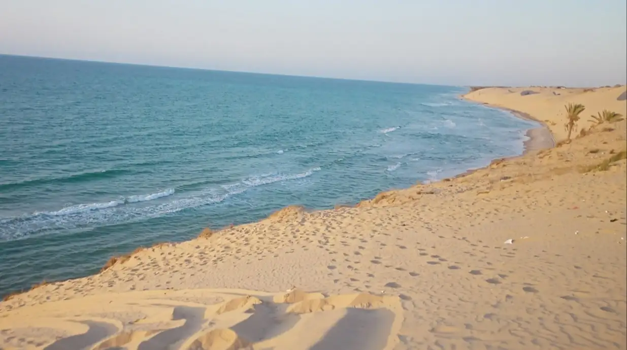 Plage de sable immaculée avec des vagues douces et des palmiers à El Resa Beach. El Arish, Égypte.