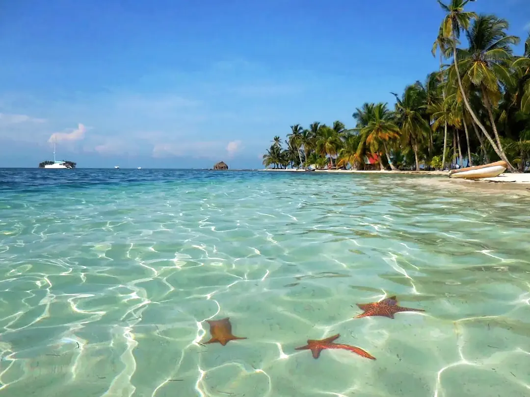 Kristallklares Wasser mit Seesternen vor Palmenstrand und Boot, Panama.