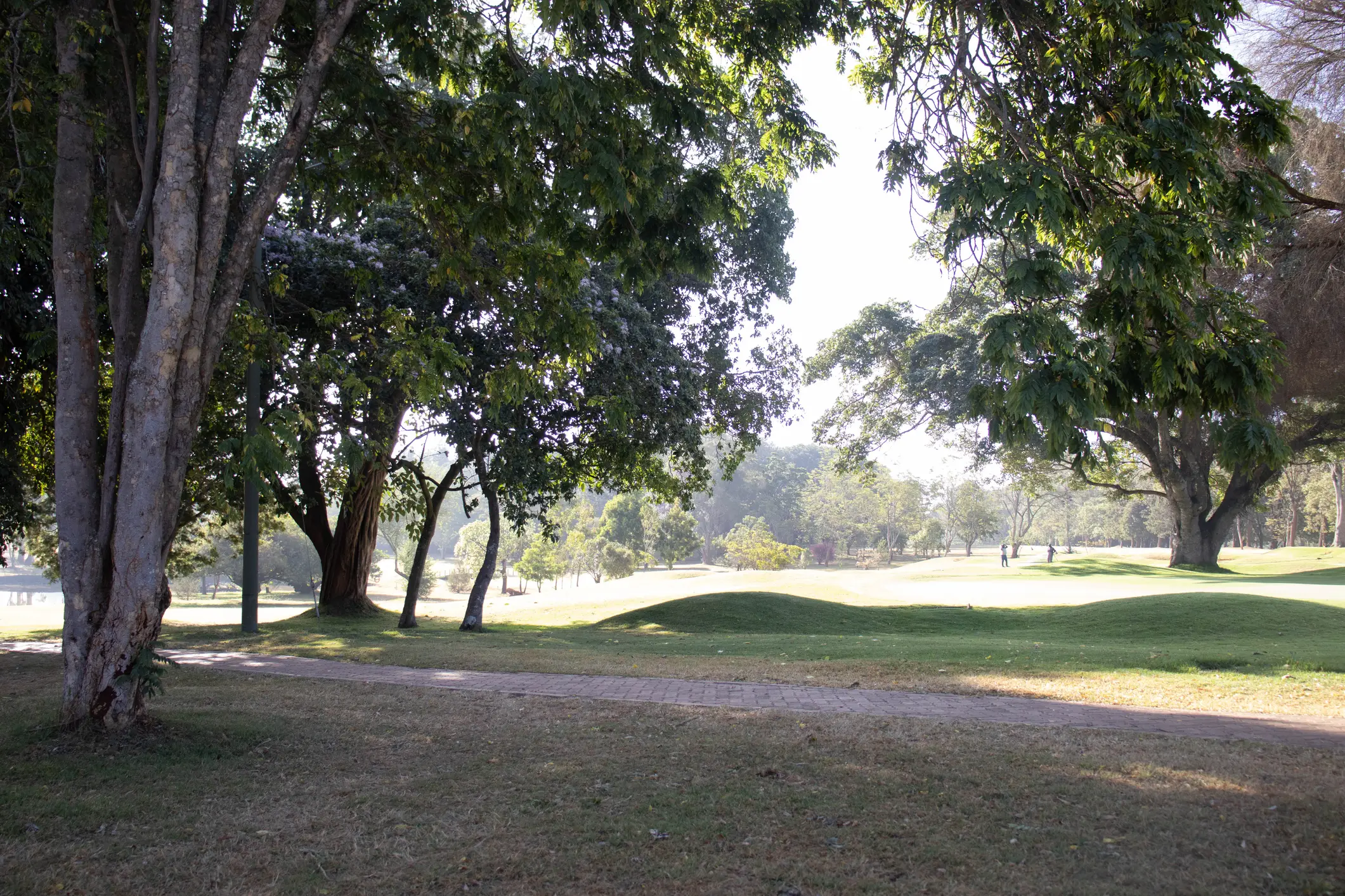 Golfplatz im Schatten, Kenia