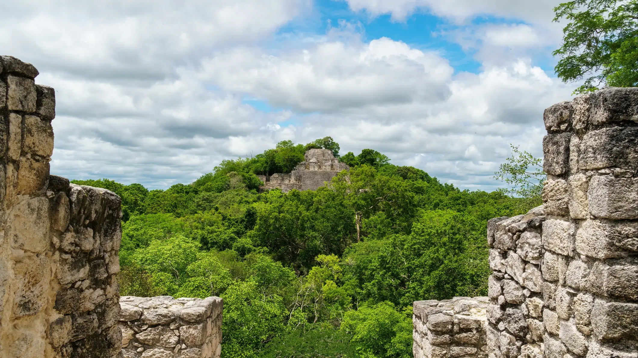 Ruines, Calakmul, Yucatan, Mexique Les ruines de Calakmul, visibles à travers les arbres par-delà les murs de pierre, péninsule du Yucatan.