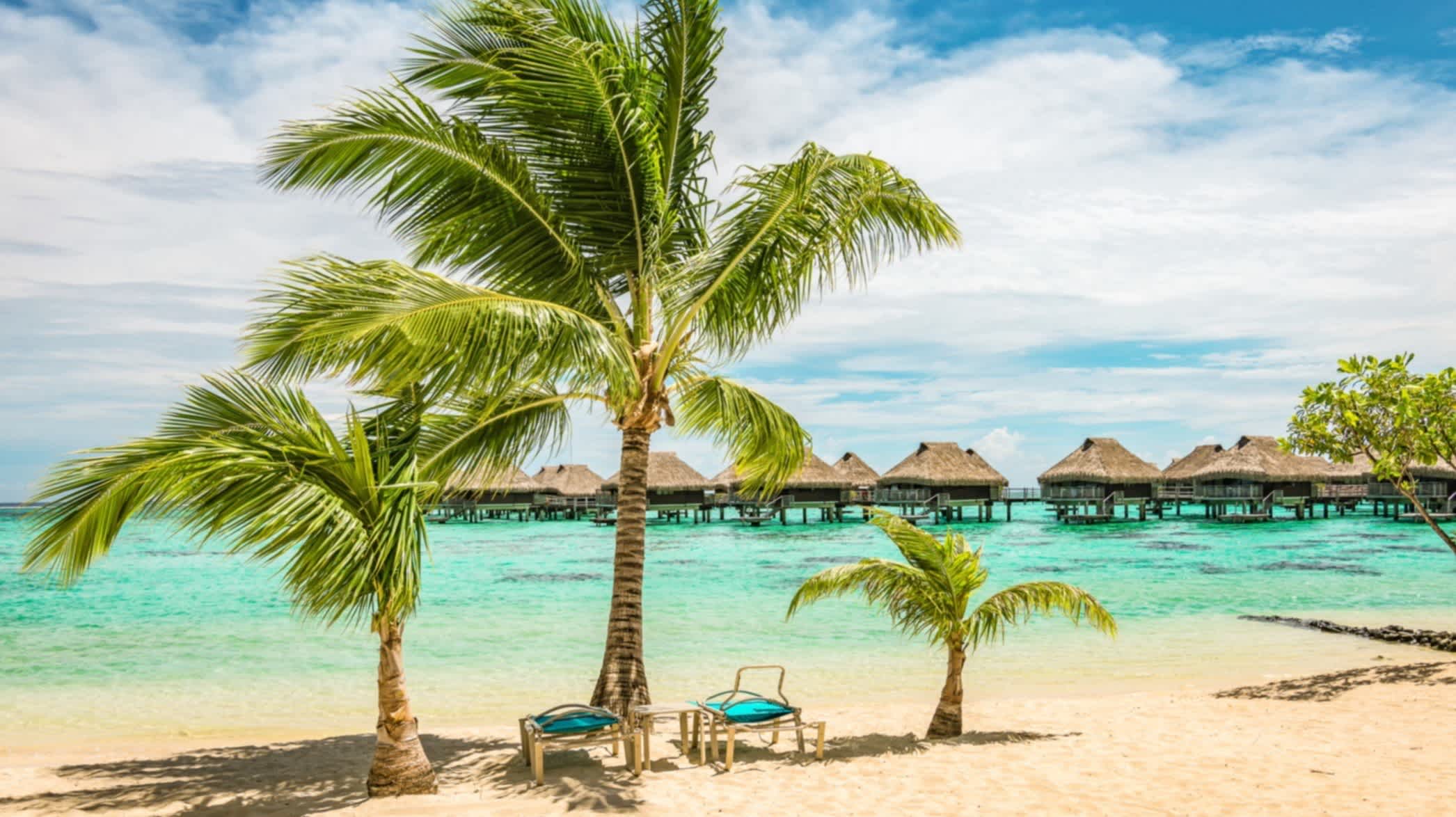 Blick auf den tropischen Strand mit Palmen und Sonnenliegen, Bora Bora, Französisch-Polynesien.