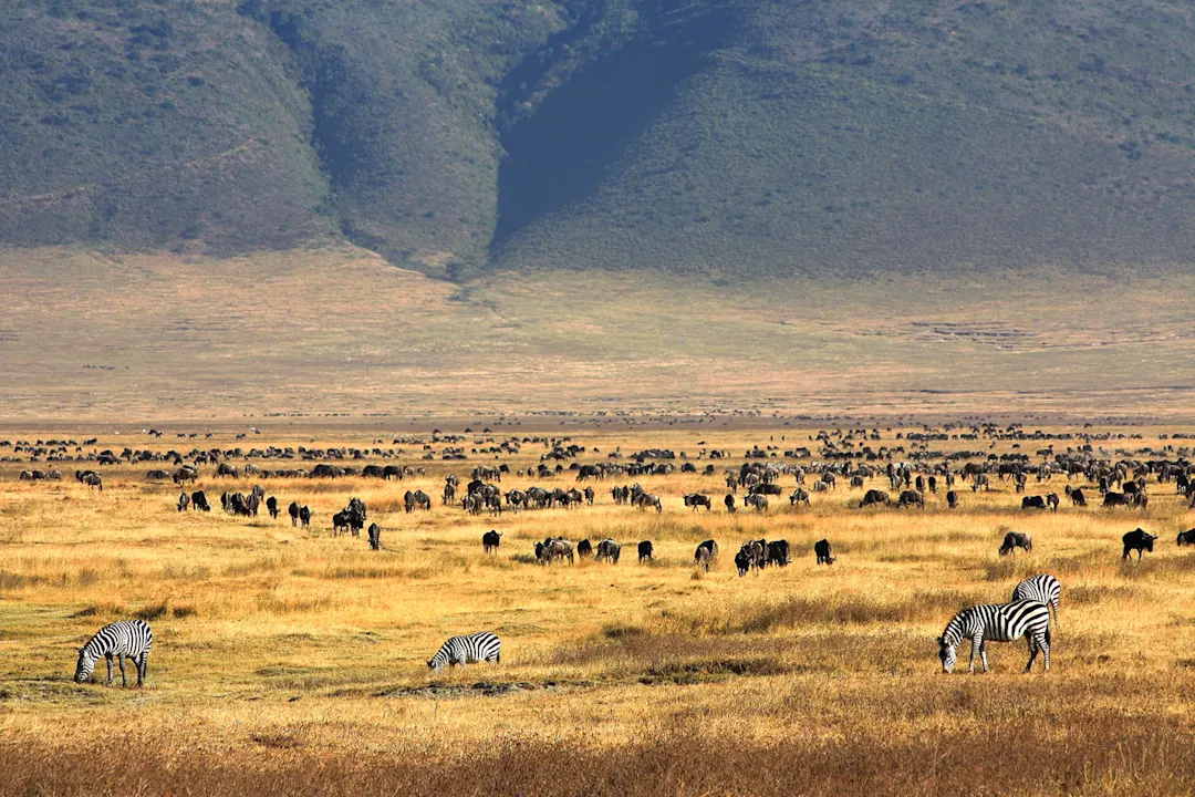Paradies des Ngorongoro-Kraters