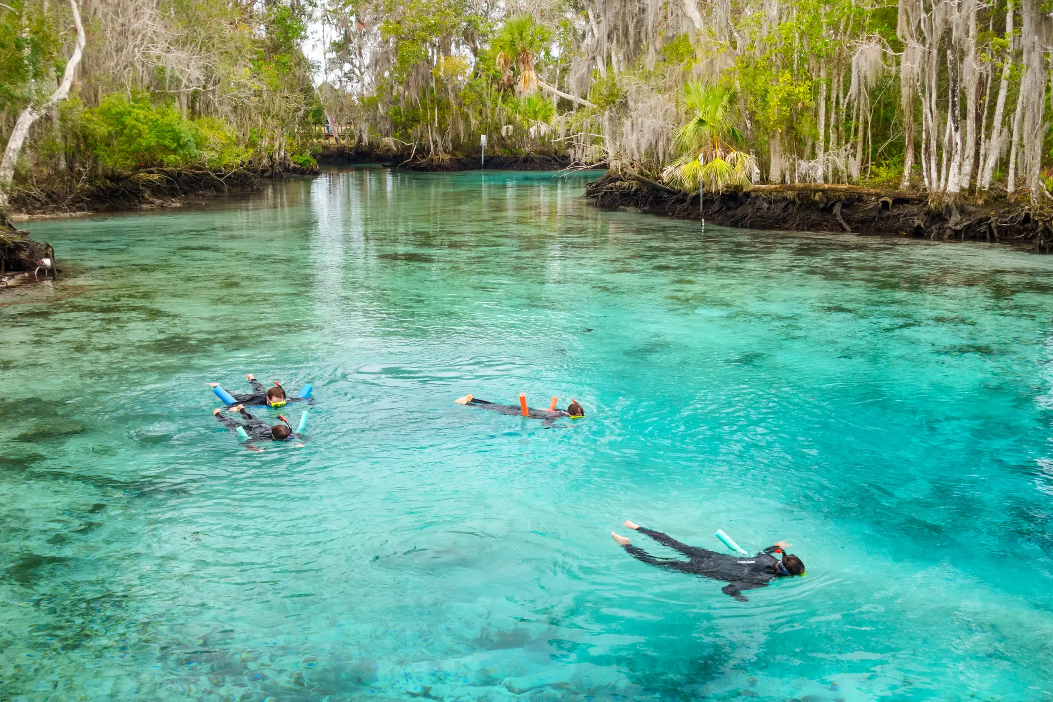 Crystal River Crystal River