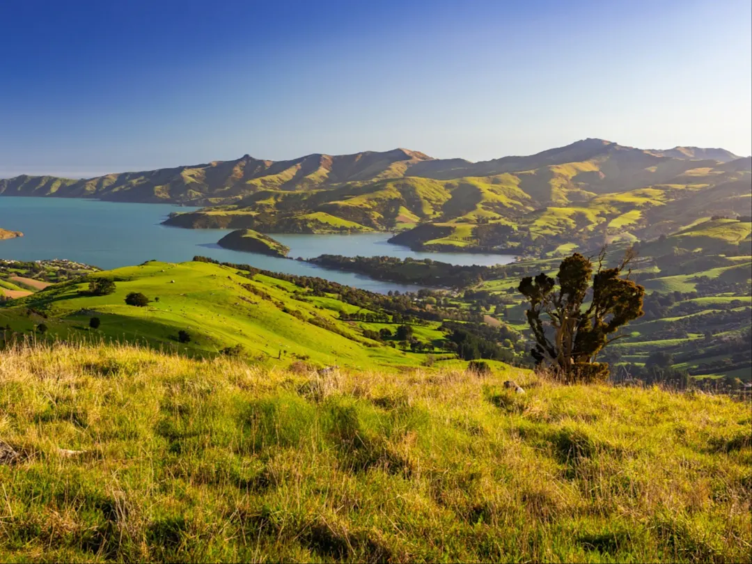 Das Panorama von Akaroa Harbour im Frühling, Neuseeland.