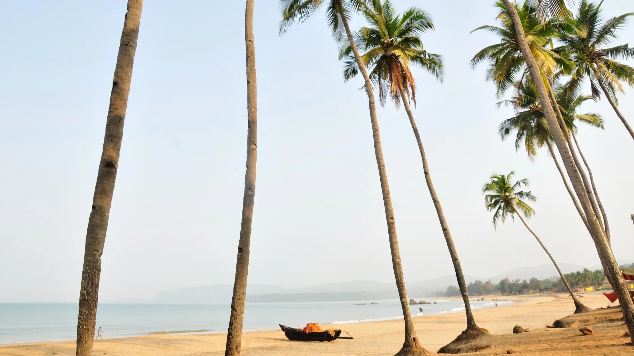 Agonda Beach, Goa, Indien Palmen am Sandstrand Agonda Beach, Goa, Indien mit Aussicht auf das Meer sowie ein Boot am Strand.