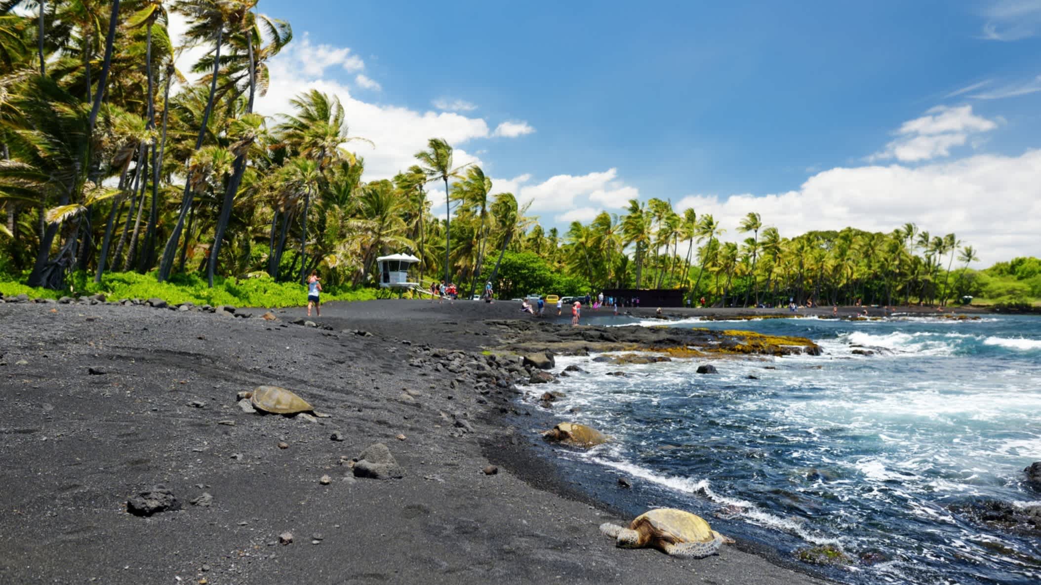 Cocotiers, sable noir et eaux bleues sur la plage de Punaluu, Big Island à Hawaï