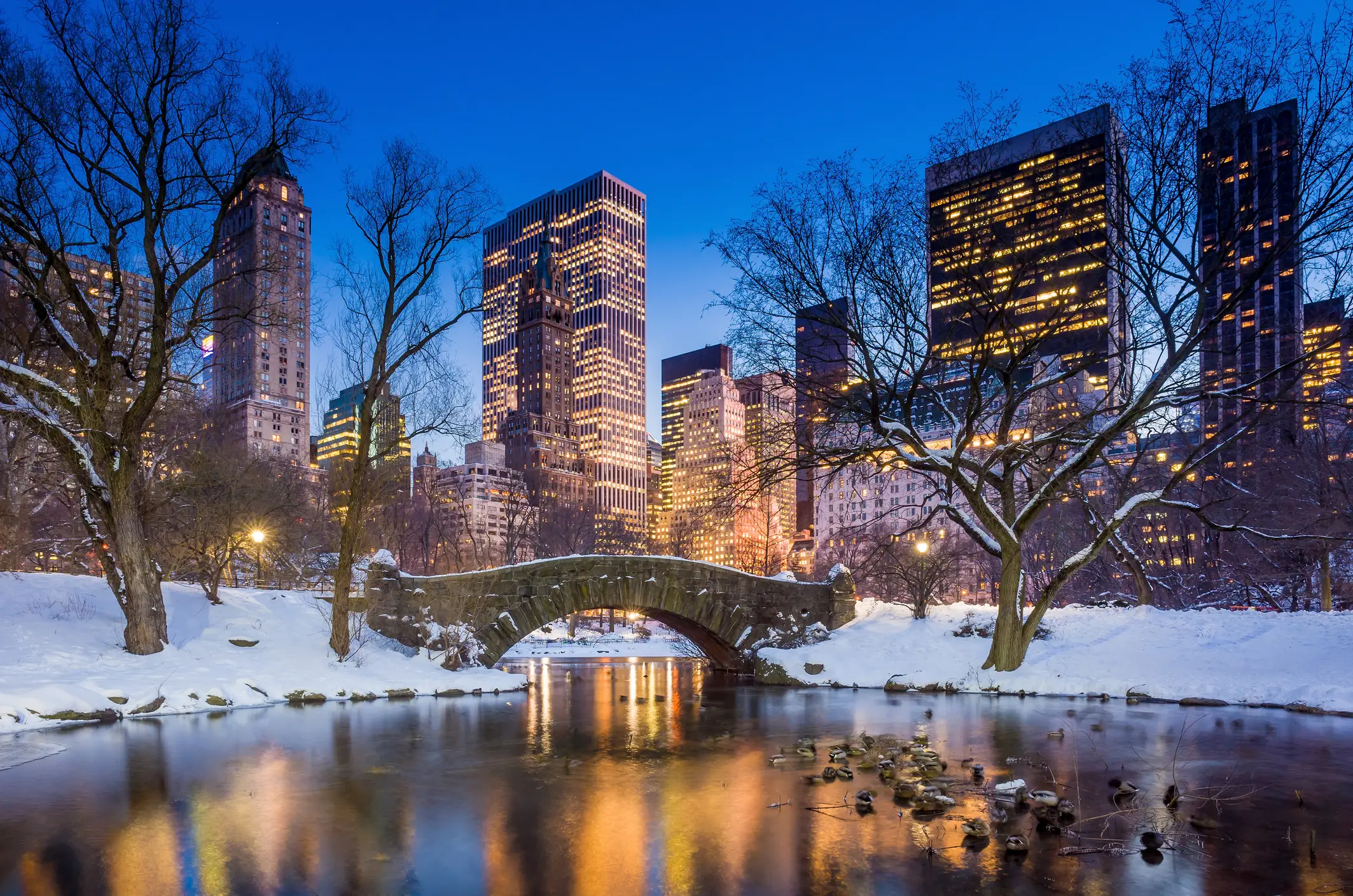 Winter, Gapstow bridge, Central Park Winter, Gapstow bridge, im Central Park