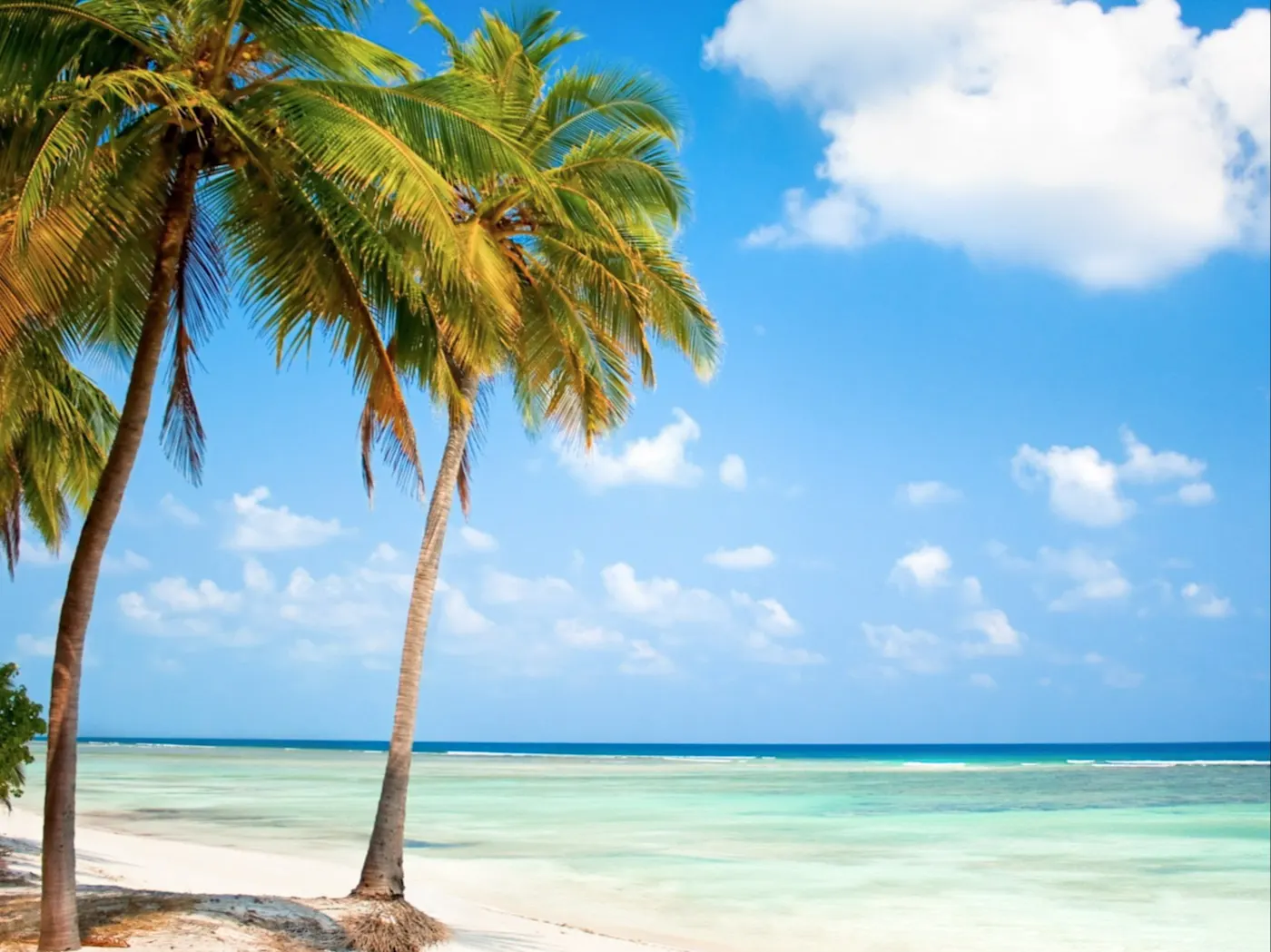 Les plages de l'Inde rappellent souvent les côtes pittoresques des Maldives, comme la plage de Palolem à Goa ou la plage de Varkala au Kerala.