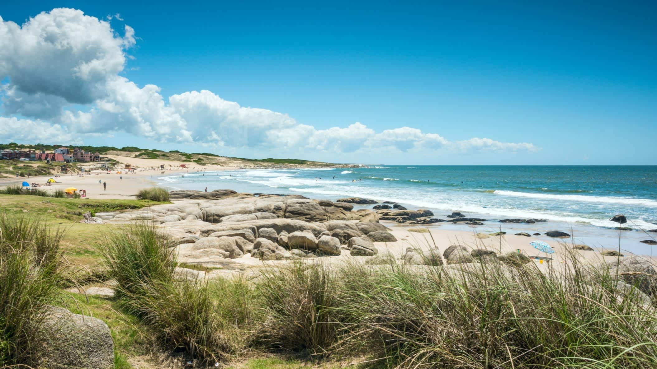 Herbes hautes au bord du sable sur la plage de Punta del Diablo, province de Rocha, Uruguay