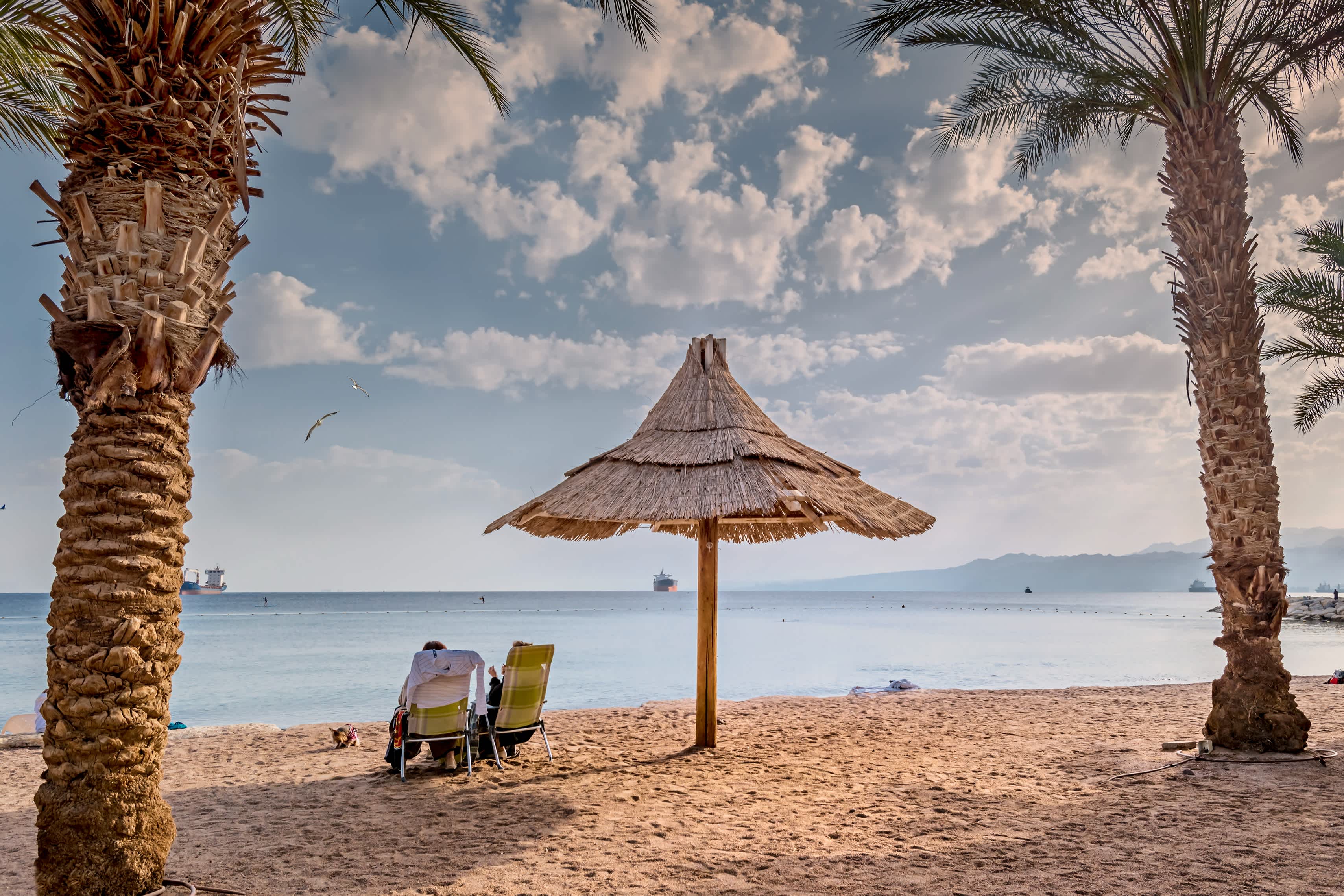 Sonnenschirm und Liegestühle am Strand zwischen zwei Palmen