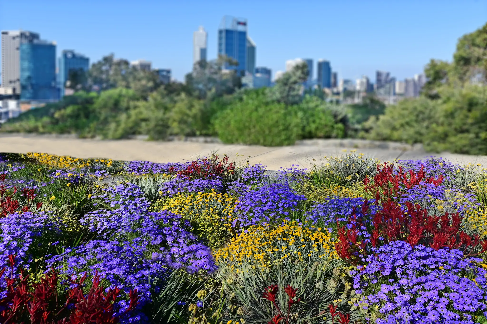 Beste Reisezeit für Perth: Klima, Wetter & Tipps | Tourlane