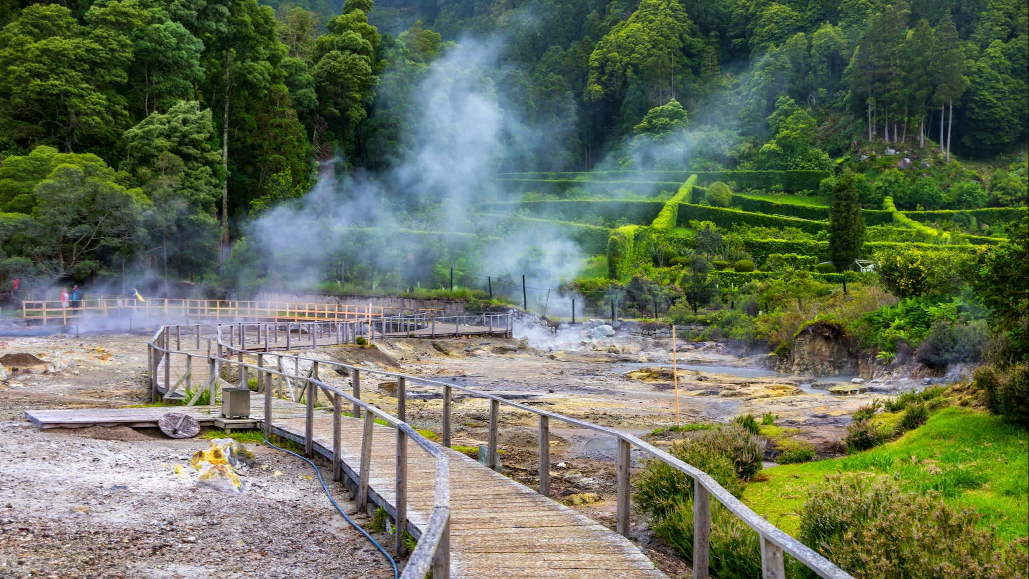 Furnas Hotsprings auf der Insel Sao Miguel, Azoren, Portugal