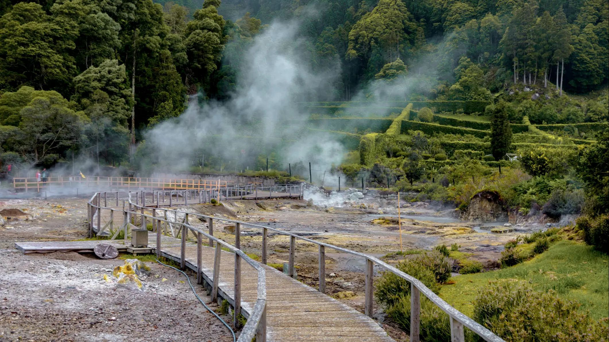 Portugal, Azores, Sao Miguel Furnas Hotsprings on the island of Sao Miguel, Azores, Portugal