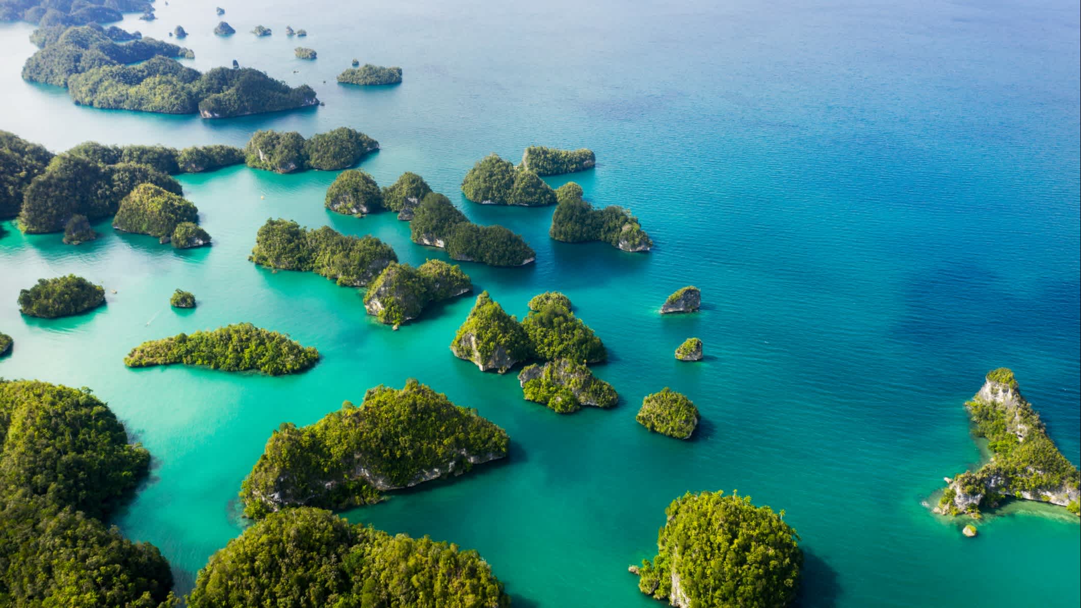 de belles îles vertes dans les vastes océans d'Indonésie