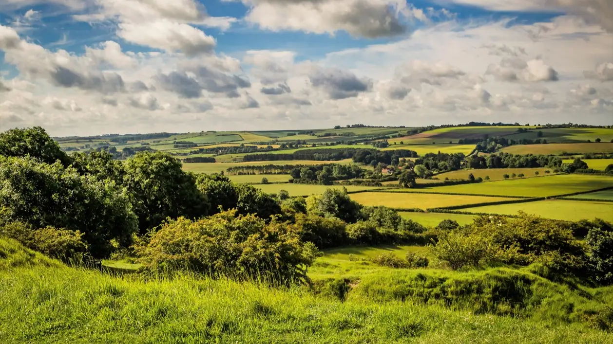 Paysage estival rural dans les Lincolnshire Wolds