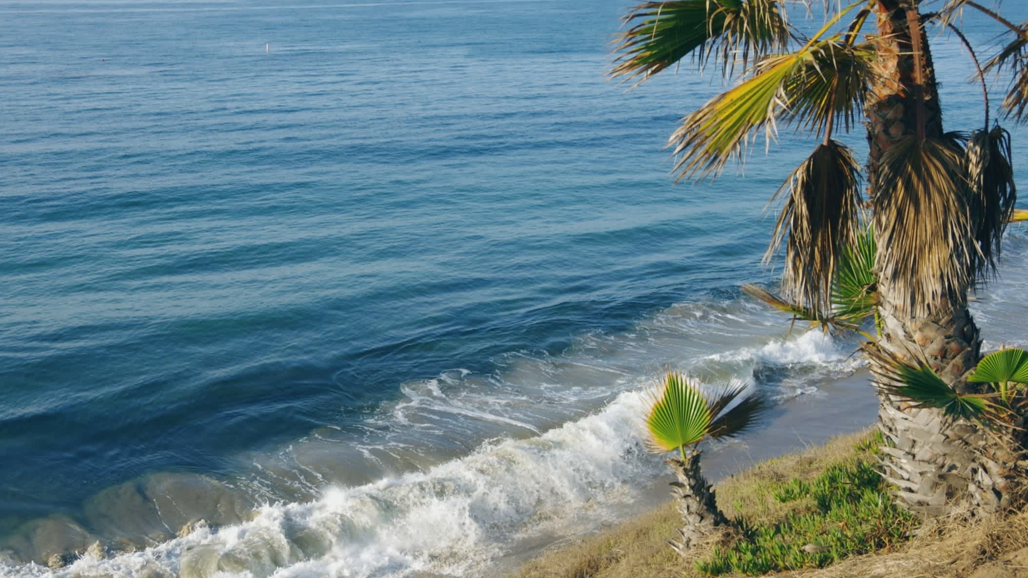 Palmiers au bord de l'eau sur la plage de Butterfly Beach, Montecito en Californie