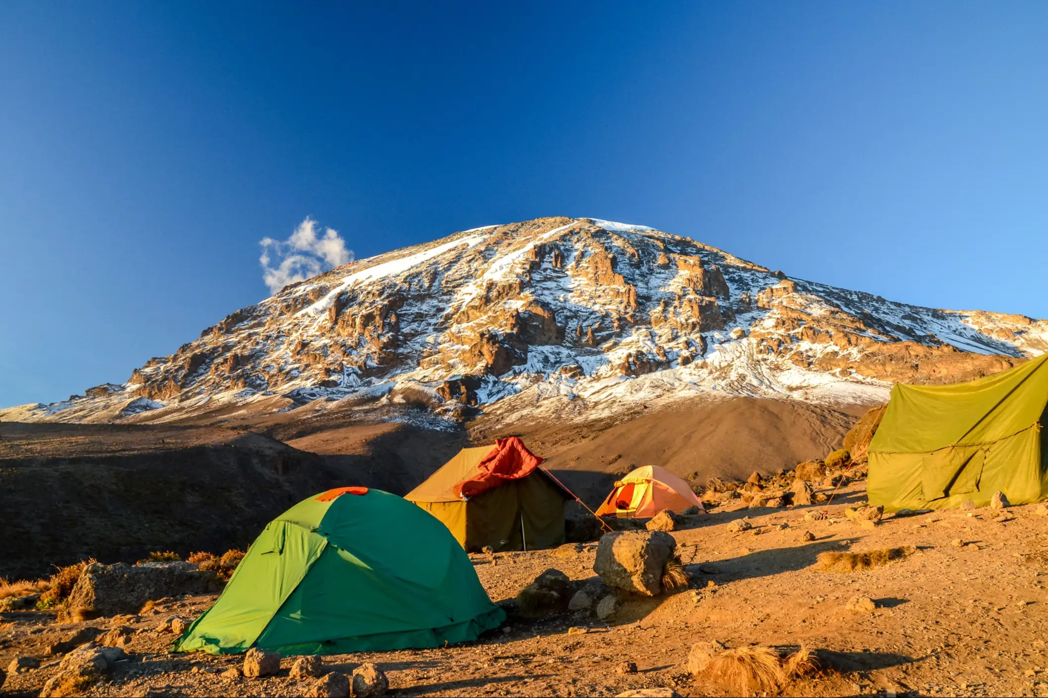 Ein Wandercamp mit Zelten beim Kilimandscharo.