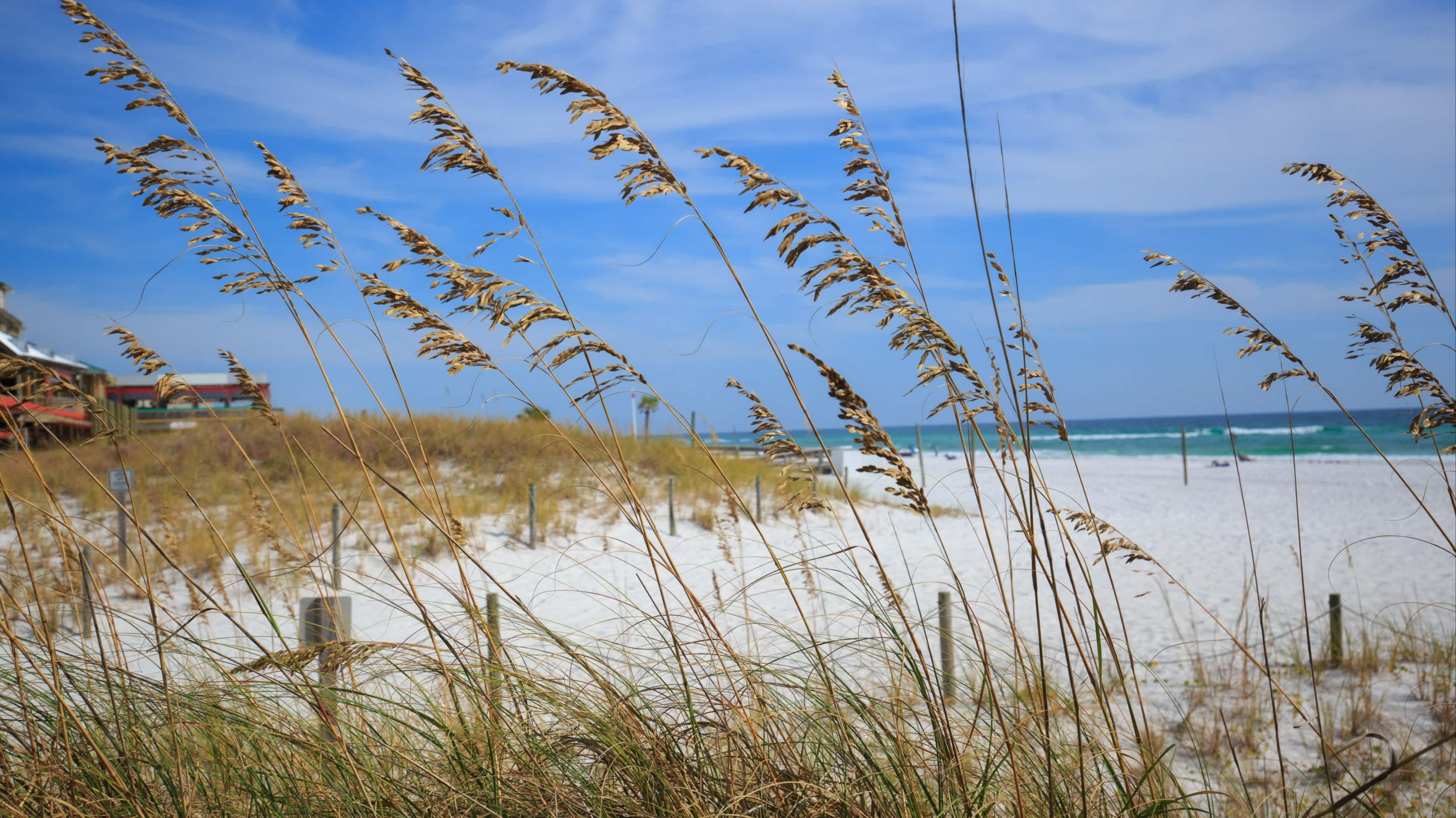 Der Strand von Henderson Beach State Park, Destin, Florida, USA bei purem Sonnenschein mit Blick durch Gras auf den Strand.