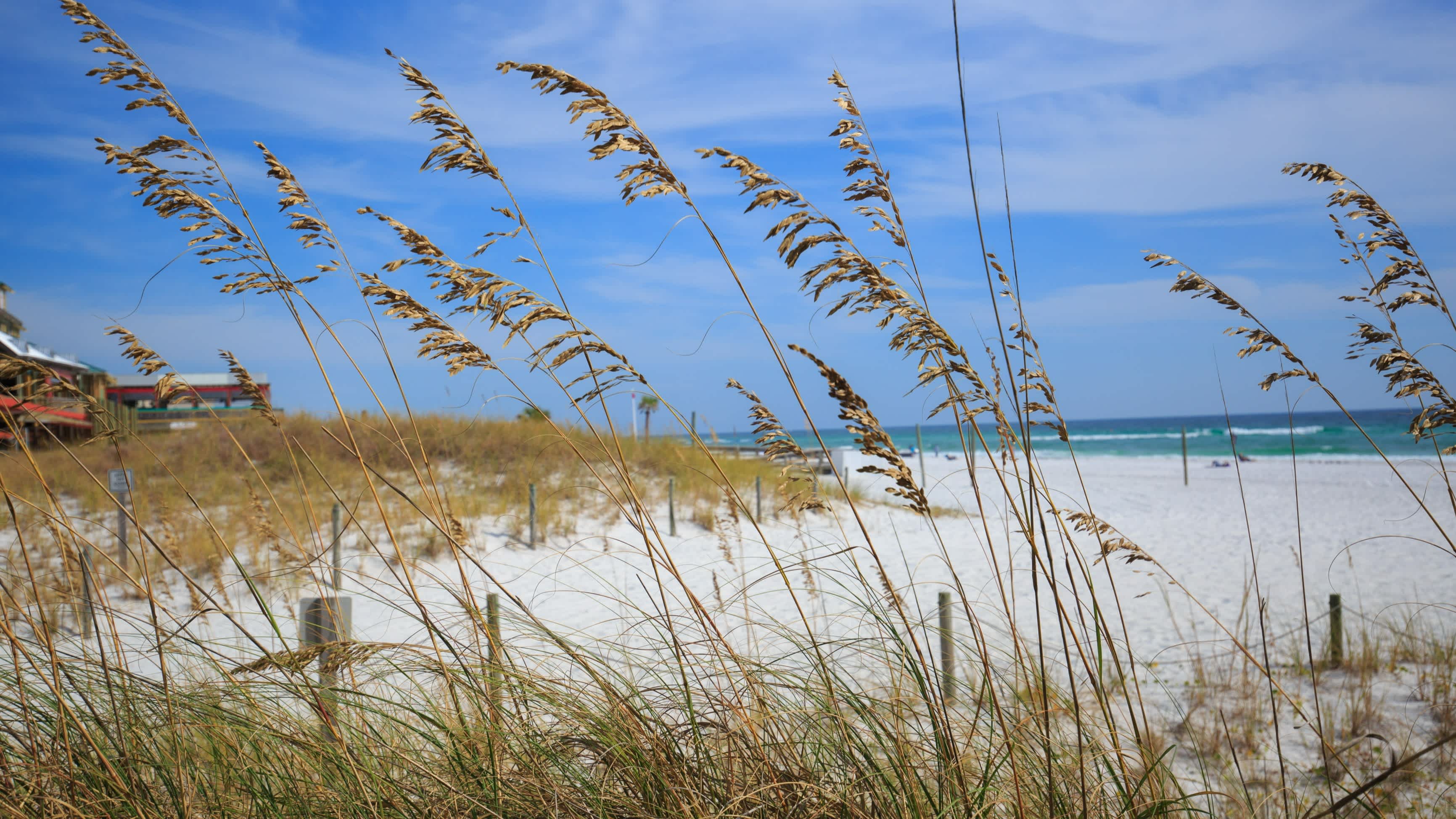 La plage du Parc d'état de Henderson Beach en arrière-plan, à Destin en Floride