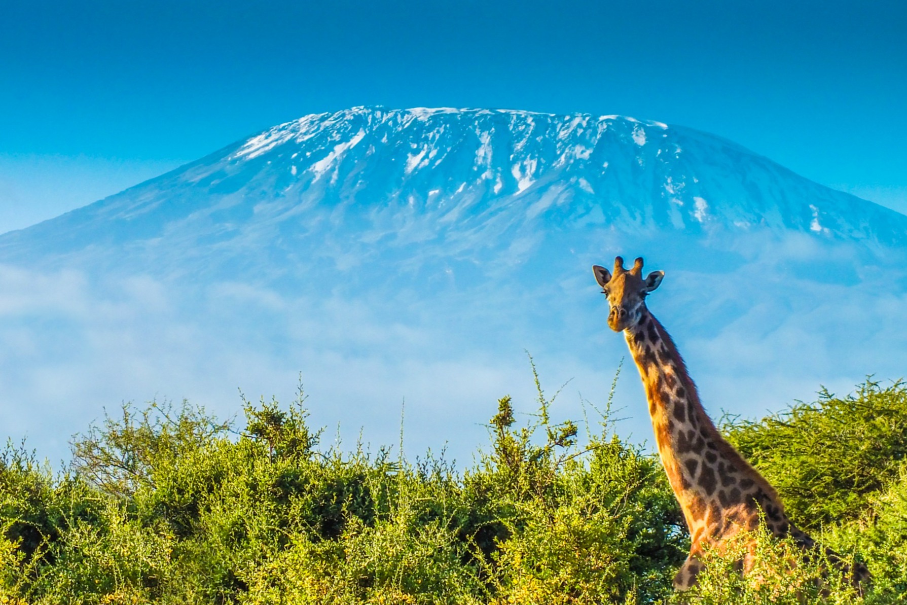 top-15-lieux-d-int-r-ts-au-kenya-tourlane