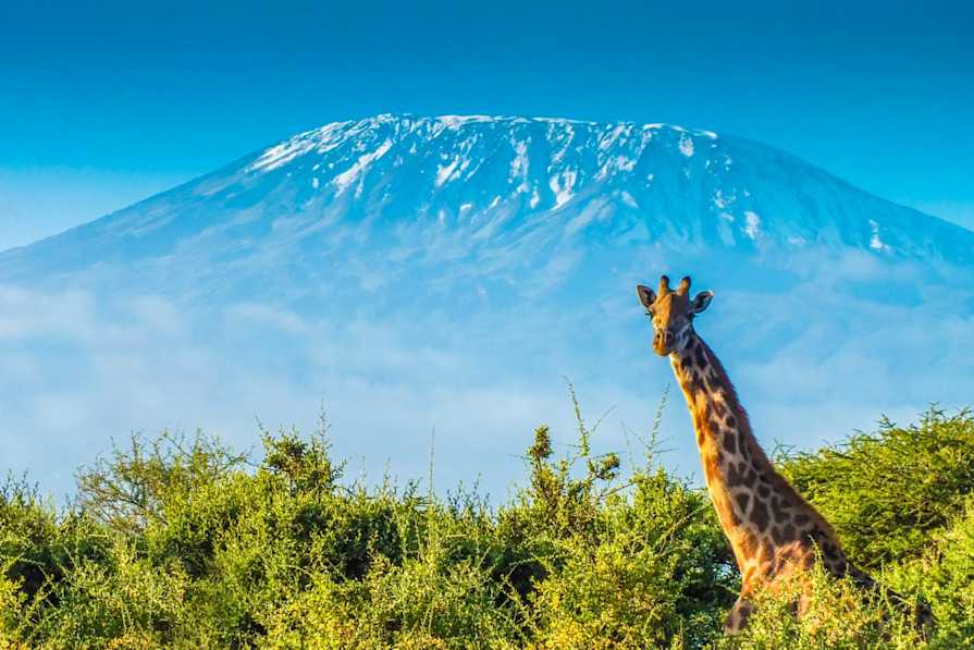 Top 15 Lieux D int r ts Au Kenya Tourlane top-15-lieux-d-int-r-ts-au-kenya-tourlane