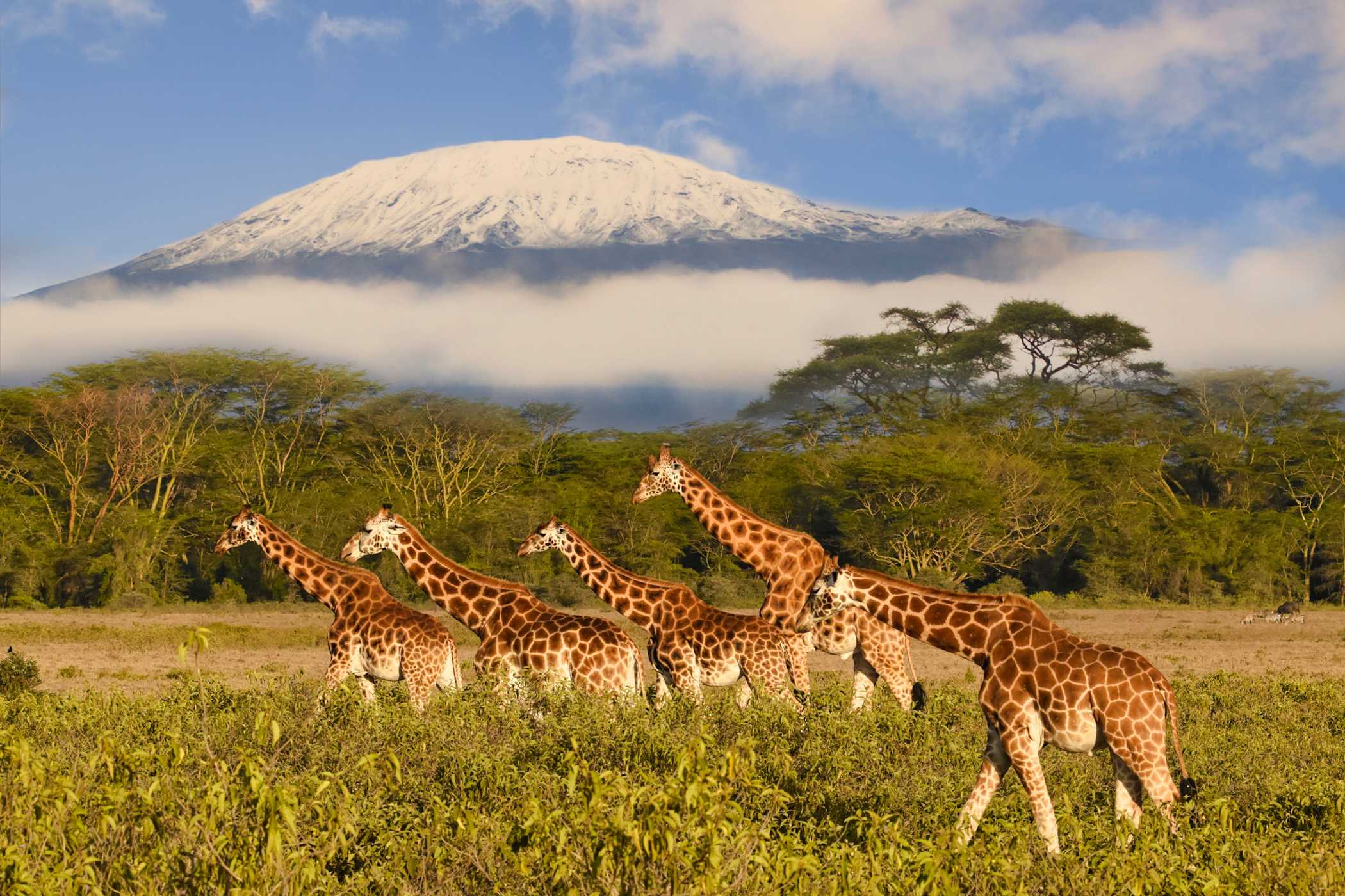 Top 15 Lieux D int r ts Au Kenya Tourlane top-15-lieux-d-int-r-ts-au-kenya-tourlane
