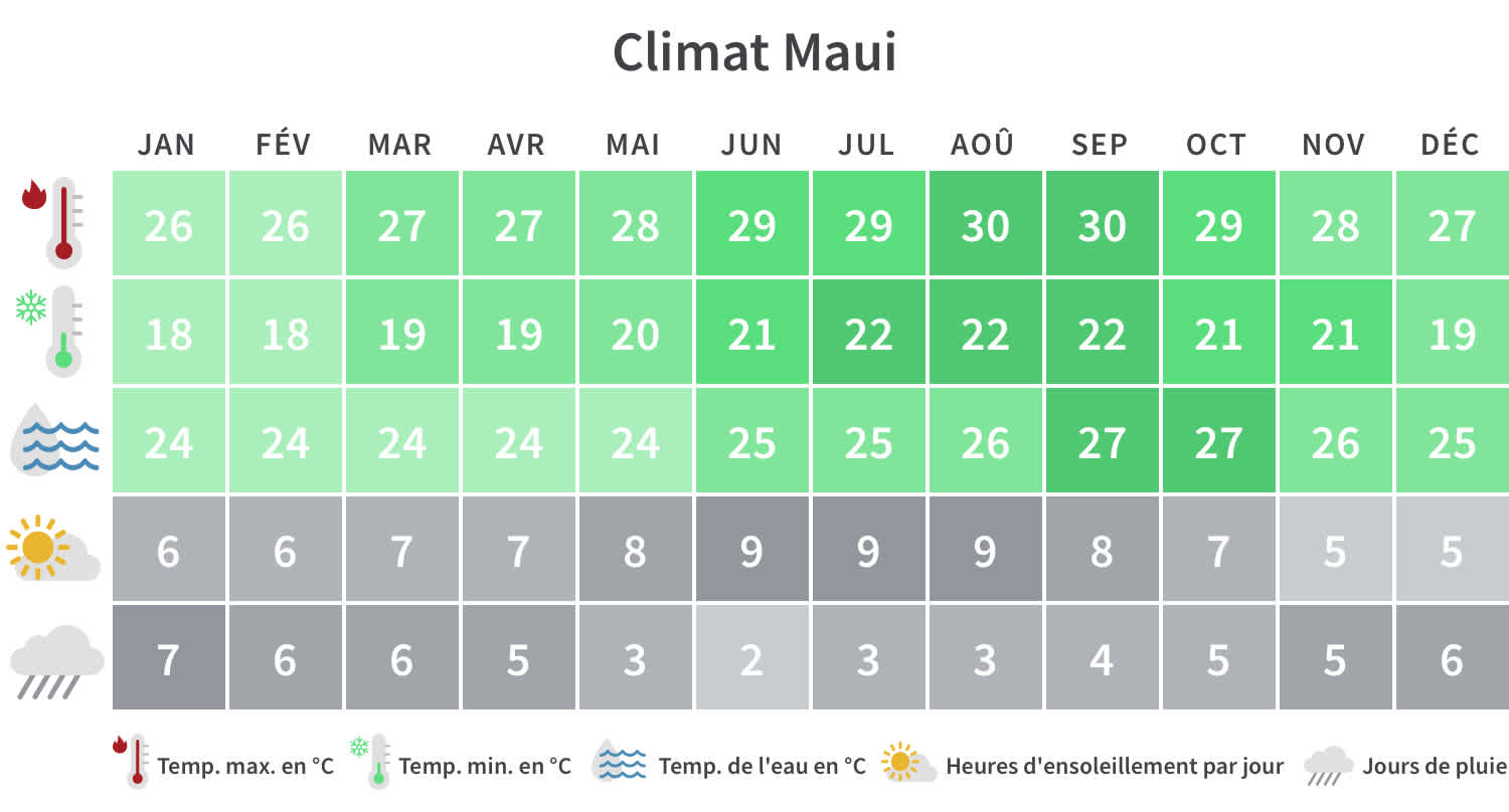 Partir à Maui