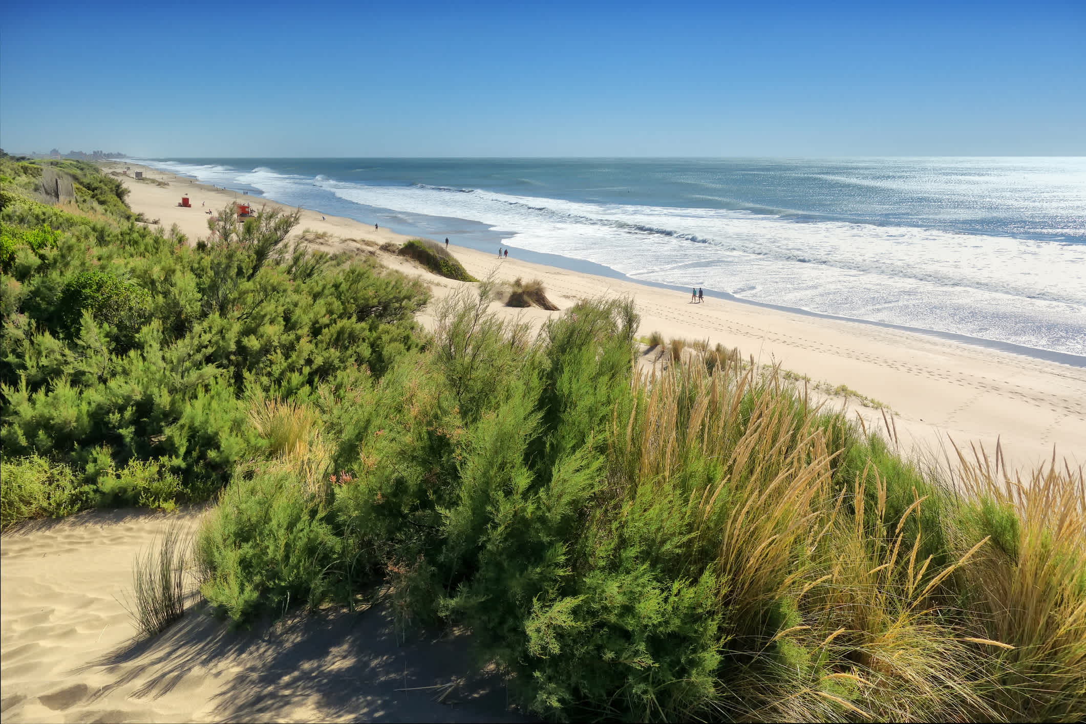 Dune et vent sur une plage déserte près de Mar del Plata