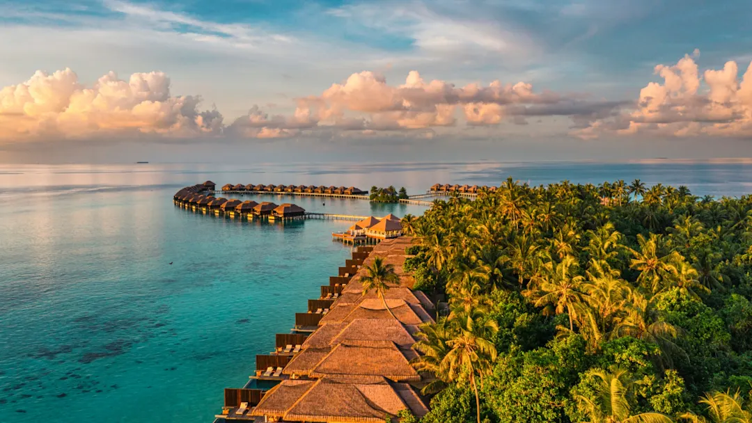 Maldives Luxury Resort Jungle