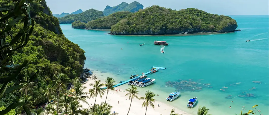 Person macht Yoga mit Blick auf Palmen und Natur. Koh Samui, Surat Thani, Thailand.