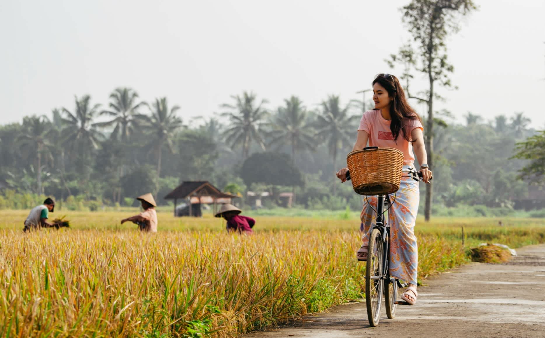 Junge Frau auf dem Fahrrad mit den Reisfeldern im Hintergrund, Bali, Indonesien. 

