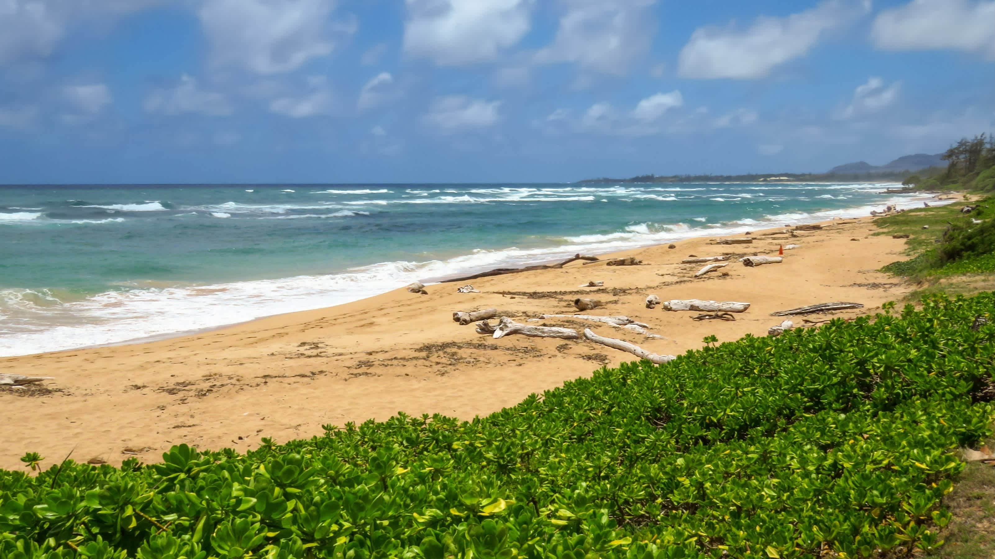 Der Strand Lydgate Beach, Kauai, Hawaii, USA bei blauem Himmel und mit Blick auf das Meer sowie natürliche Vegetation.