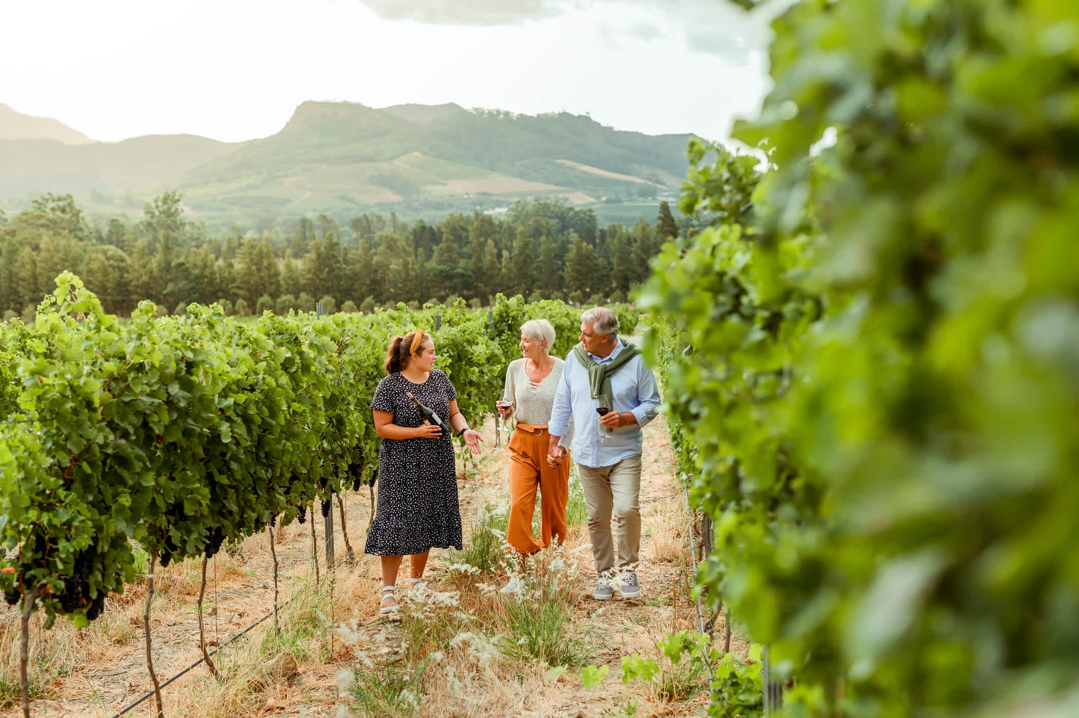 Un couple âgé fait le tour des vignobles avec une vigneronne, Afrique du Sud