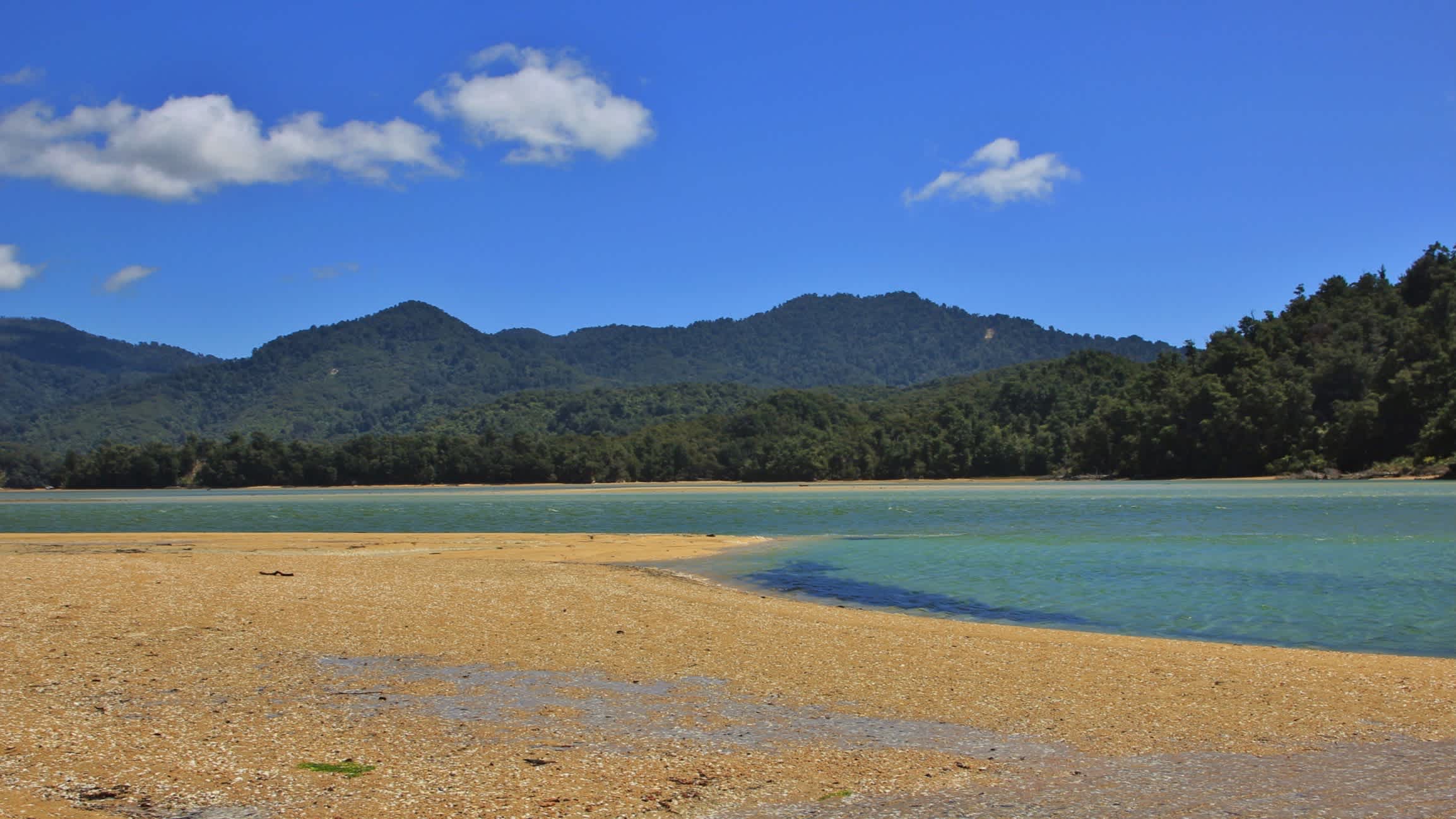 Golden sand at the edge of the blue water of Awaroa Inlet Bay in Abel Tasman National Park, New Zealand with green cliffs in the background.