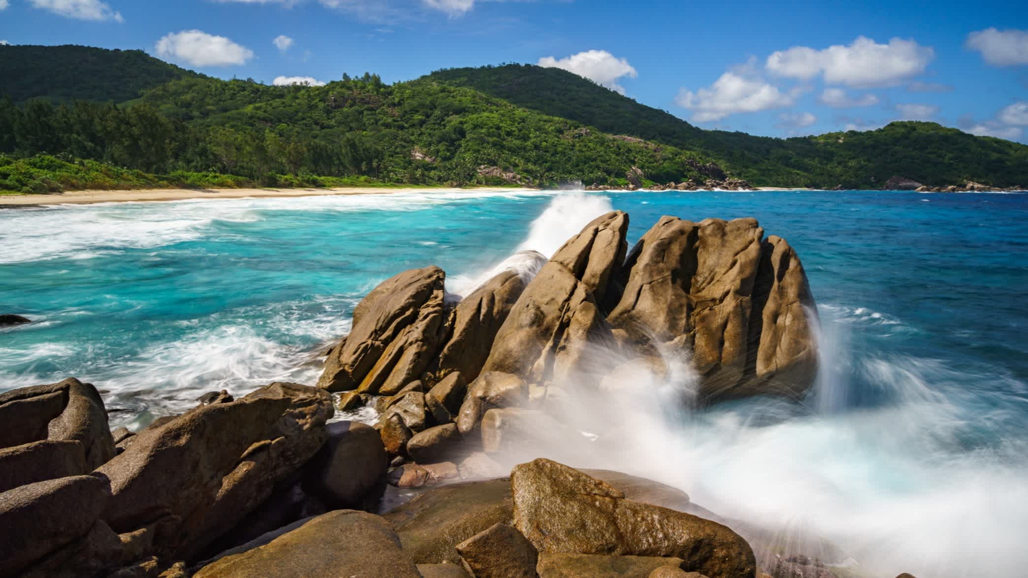 Große Granitfelsen, Palmen, türkisfarbenes Wasser des Indischen Ozeans, weißer Sand am tropischen Strand Wild Paradise, Police Bay, Seychellen, Mahé