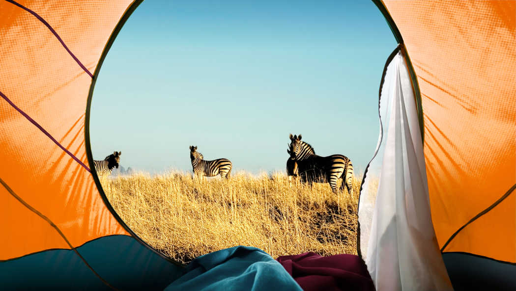 Blick aus einem Zelt auf einen Wildtierschutzpark in Tansania.

