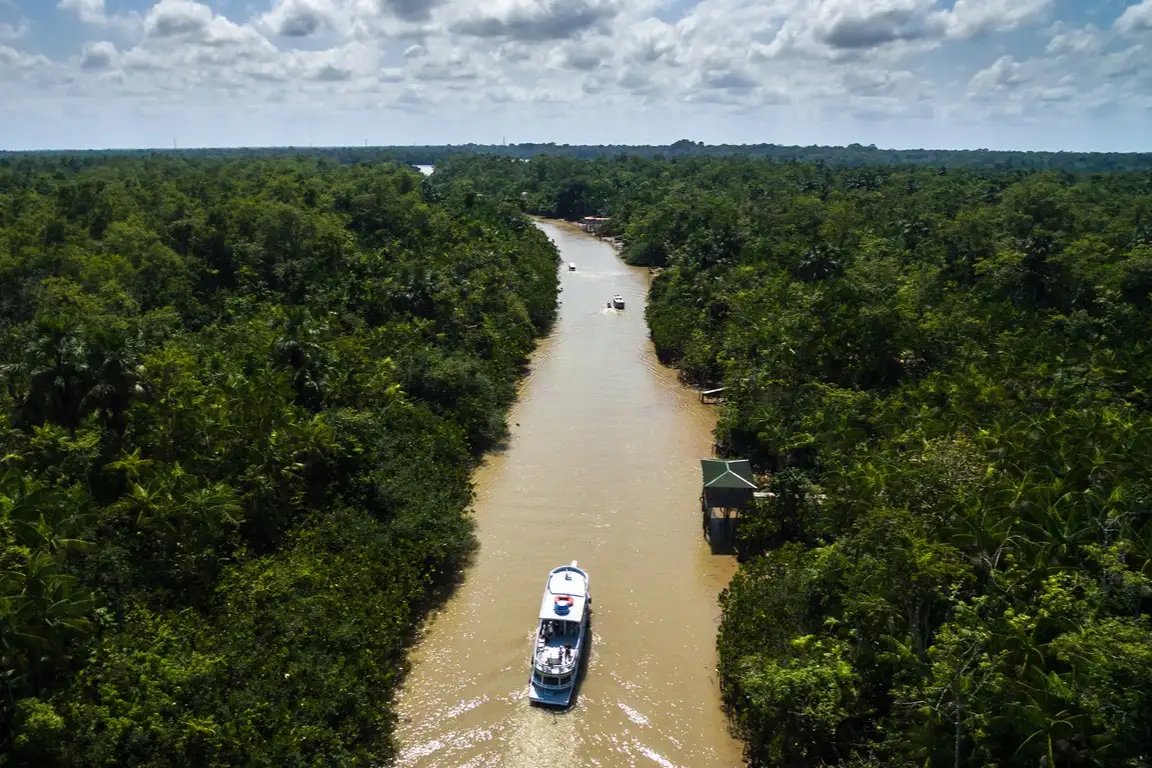 Luftaufnahme des Regenwaldes in Brasilien im Amazonasgebiet mit einem Boot.

 