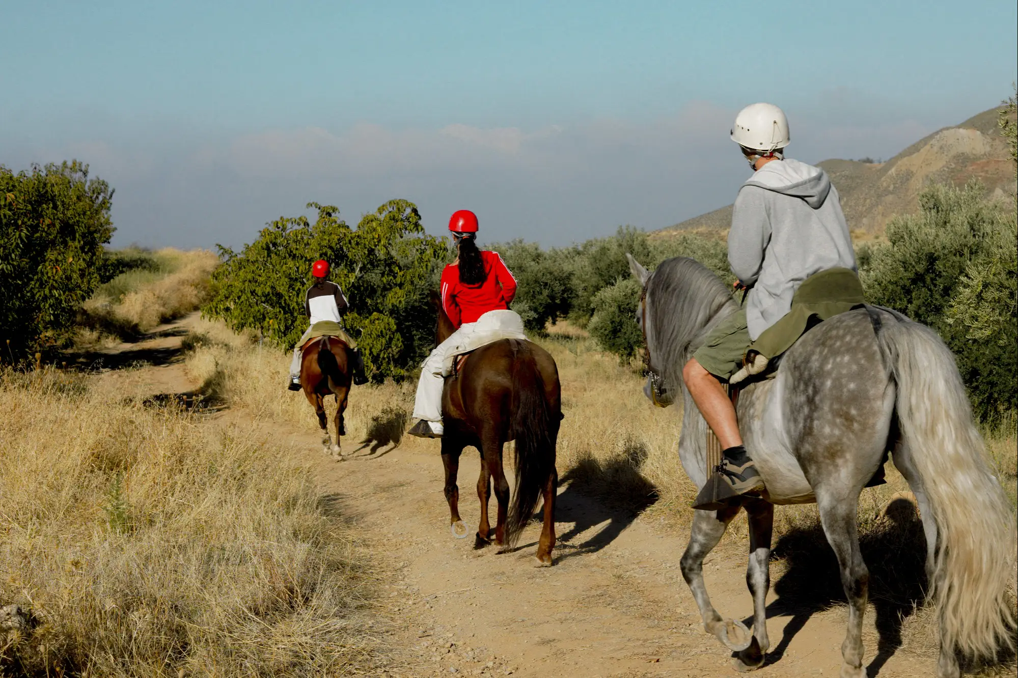 Les jeunes montent à cheval dans la nature

