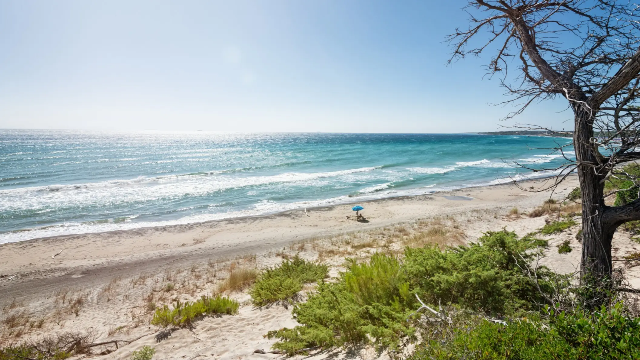 Einsamer Sandstrand mit türkisblauem Meer, einem blauen Sonnenschirm am Ufer und Vegetation im Vordergrund unter klarem Himmel.