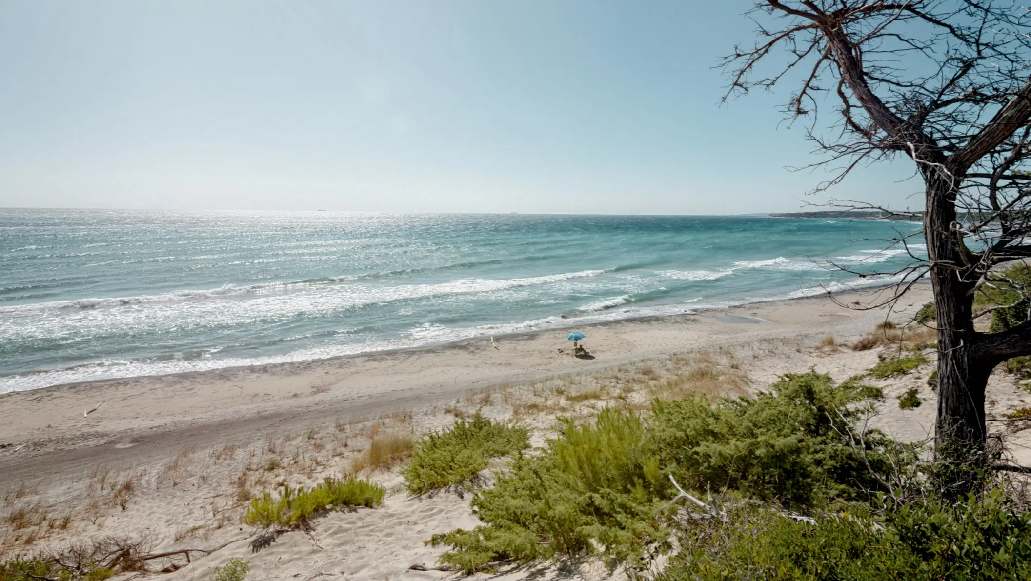 Einsamer Sandstrand mit türkisblauem Meer, einem blauen Sonnenschirm am Ufer und Vegetation im Vordergrund unter klarem Himmel.