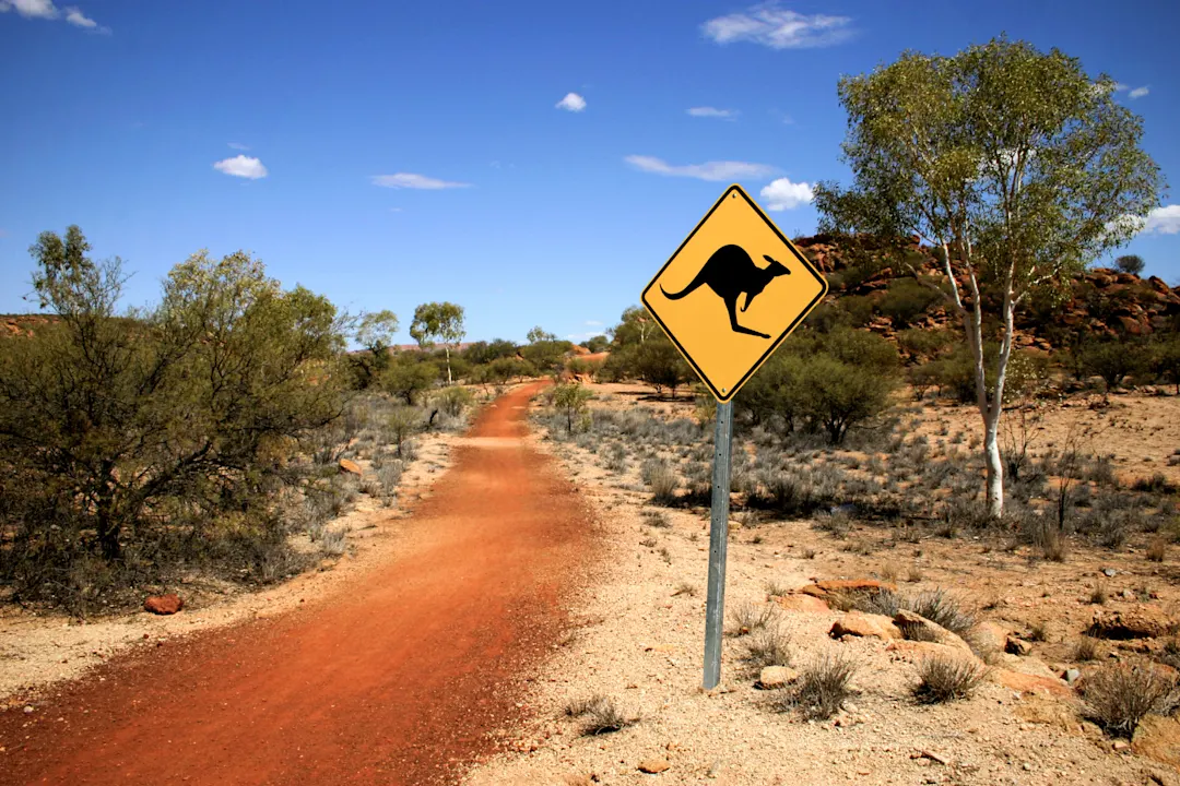 Straße mit Känguru-Schild, Alice Springs, Northern Territory, Australien.