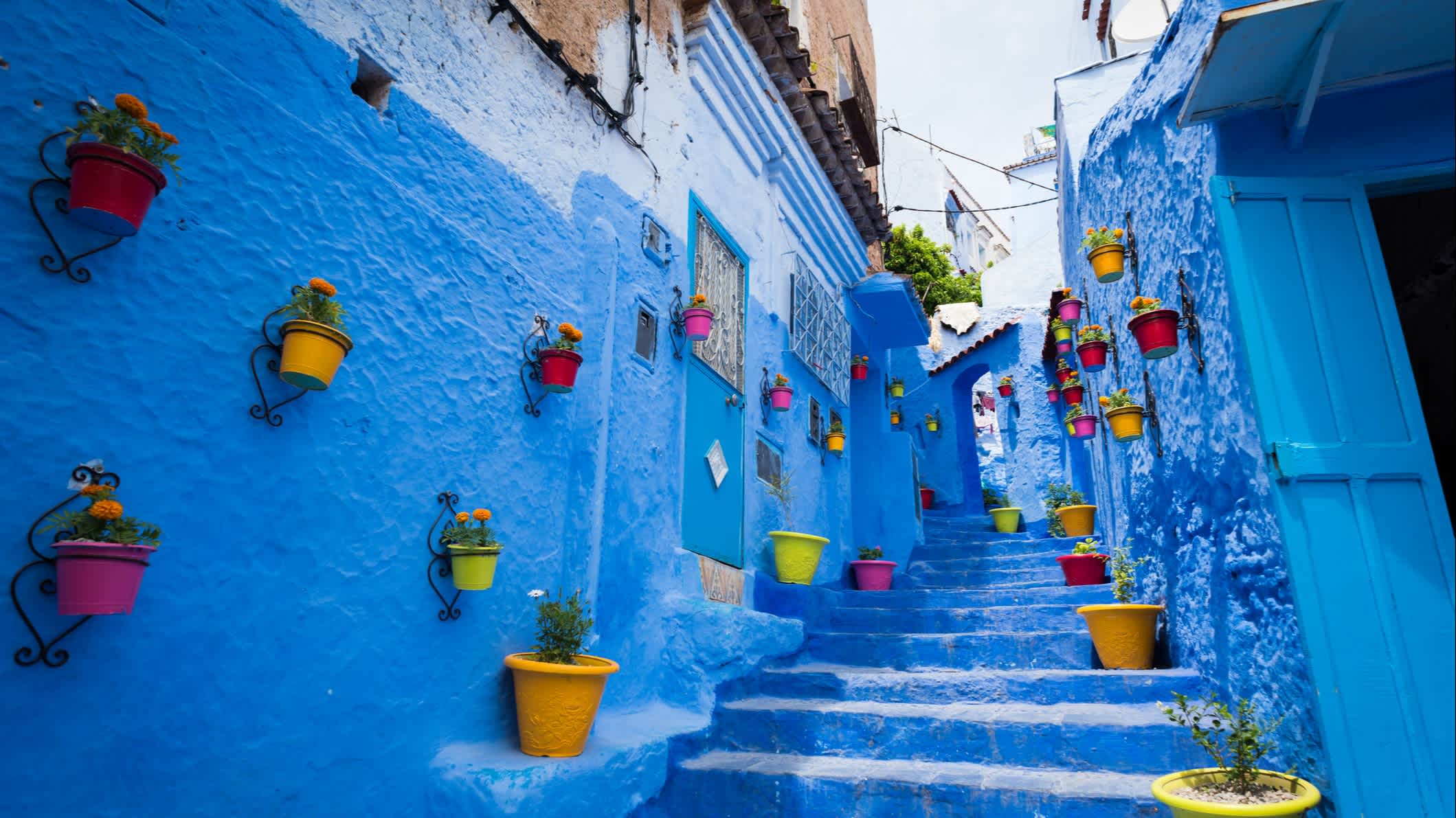 Blaue Gebäude mit bunten Blumentöpfen