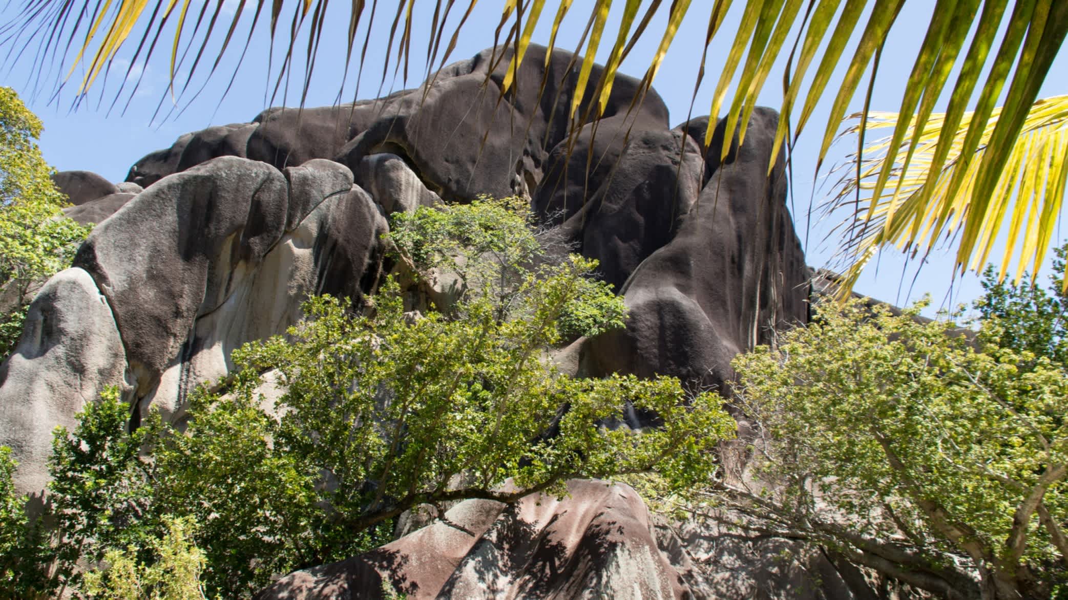 Erstaunliche Granitfelsen am Strand des Nationalparks L'Union Estate, Insel La Digue, Seychellen
