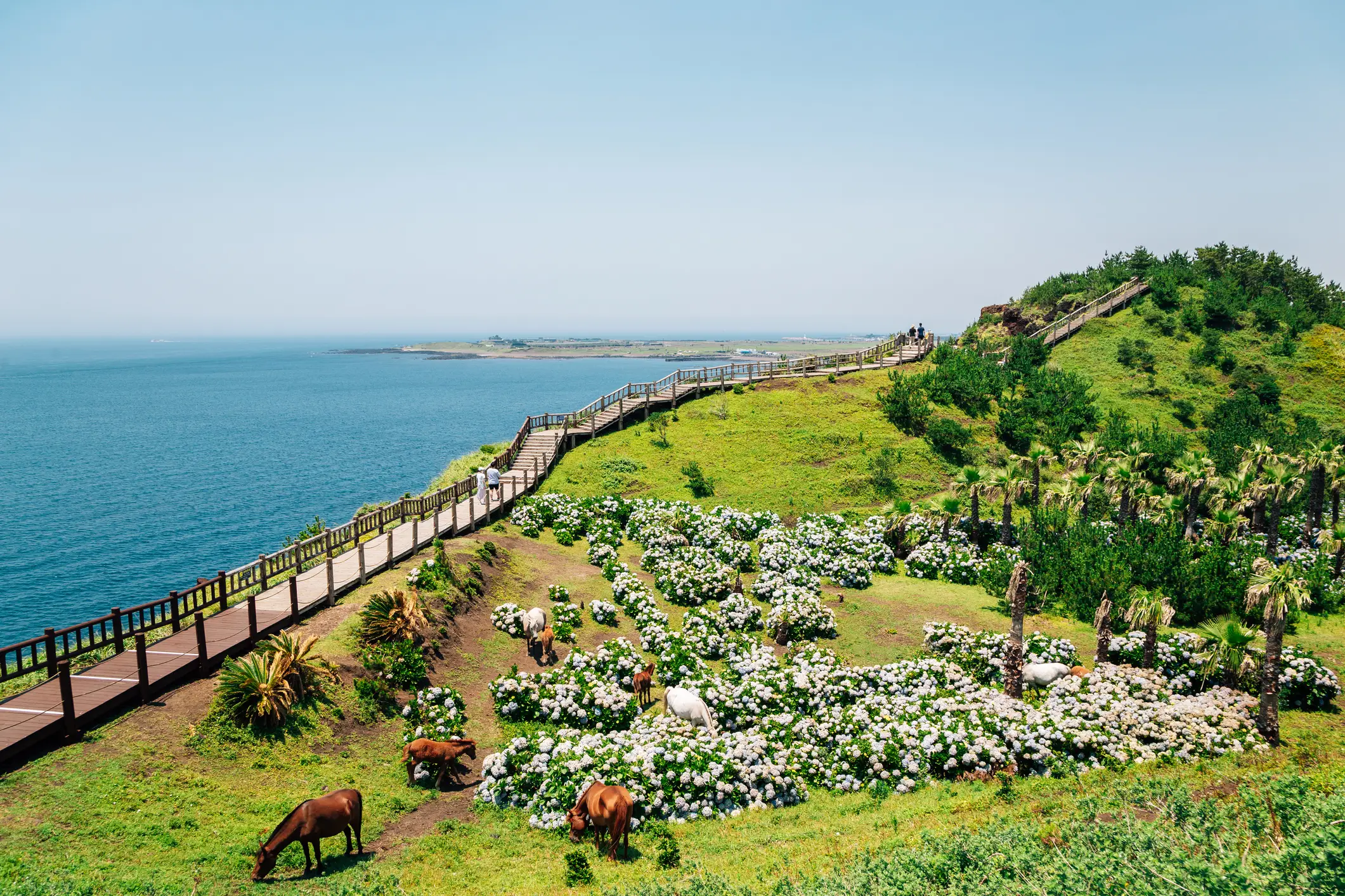 Songaksan Mountain Trail mit Meer auf der Insel Jeju, Korea