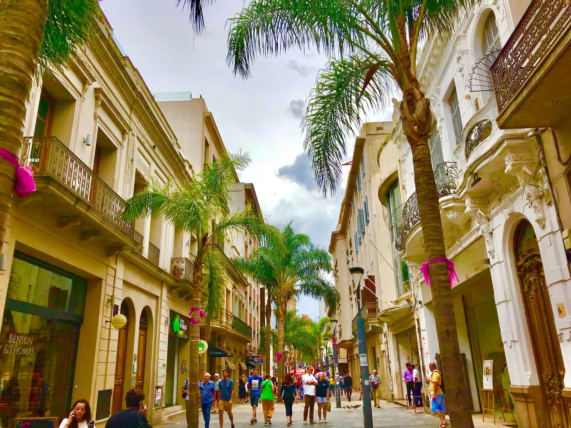 Straße mit Palmen und historischen Gebäuden